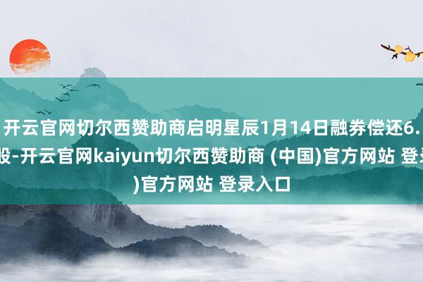 开云官网切尔西赞助商启明星辰1月14日融券偿还6.40万股-开云官网kaiyun切尔西赞助商 (中国)官方网站 登录入口