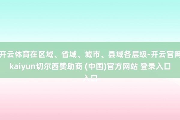 开云体育在区域、省域、城市、县域各层级-开云官网kaiyun切尔西赞助商 (中国)官方网站 登录入口