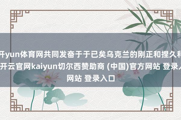 开yun体育网共同发奋于于已矣乌克兰的刚正和捏久和平-开云官网kaiyun切尔西赞助商 (中国)官方网站 登录入口
