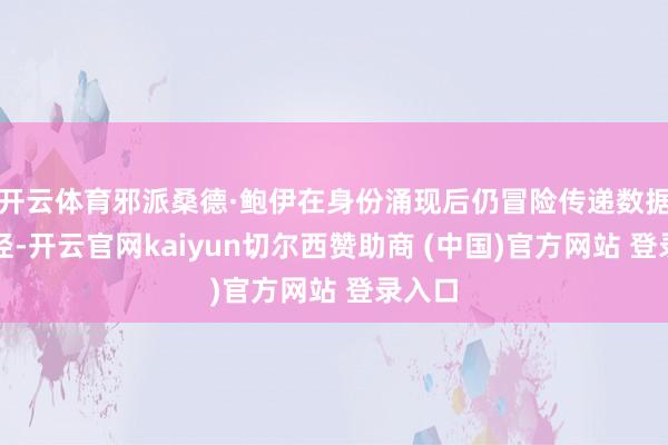 开云体育邪派桑德·鲍伊在身份涌现后仍冒险传递数据的行径-开云官网kaiyun切尔西赞助商 (中国)官方网站 登录入口