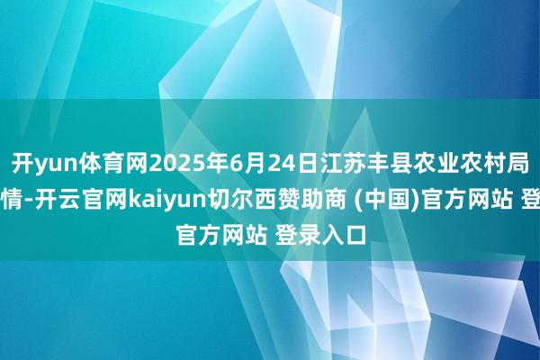 开yun体育网2025年6月24日江苏丰县农业农村局价钱行情-开云官网kaiyun切尔西赞助商 (中国)官方网站 登录入口
